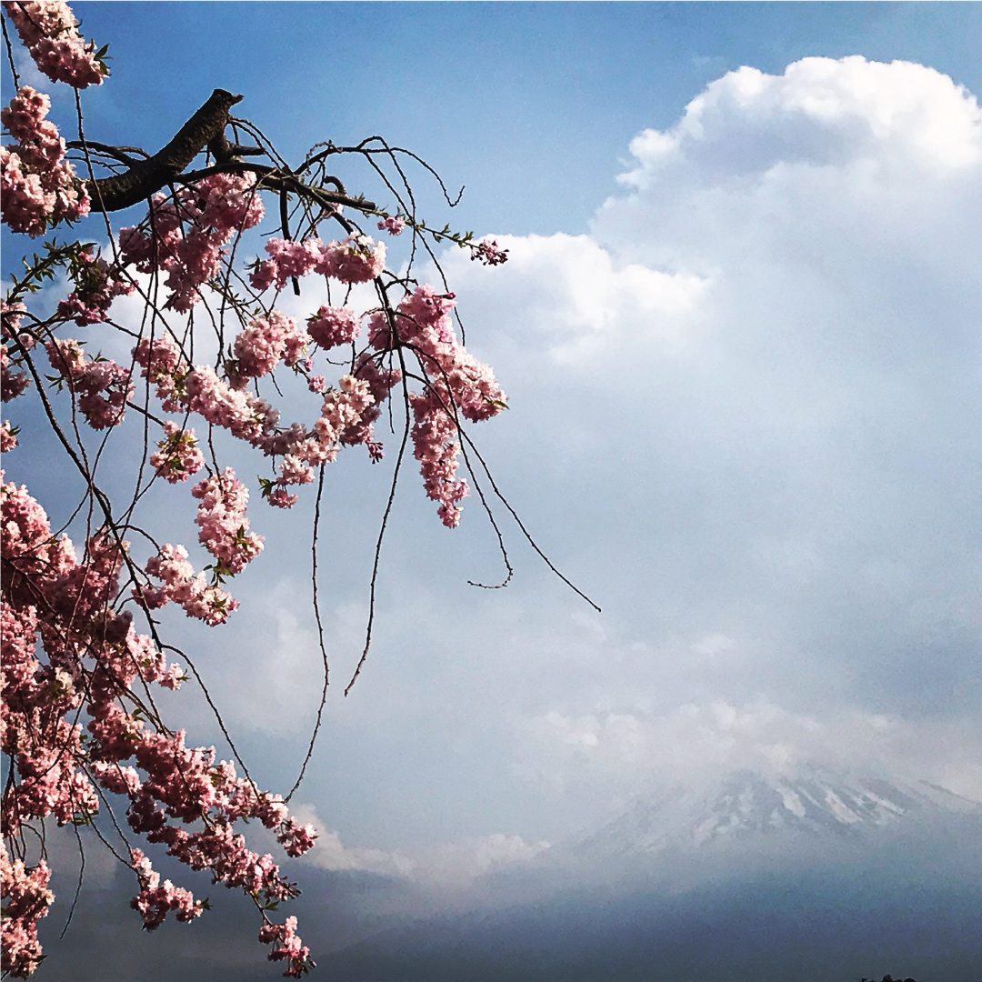 Τι είναι οι συγγενείς ανωμαλίες