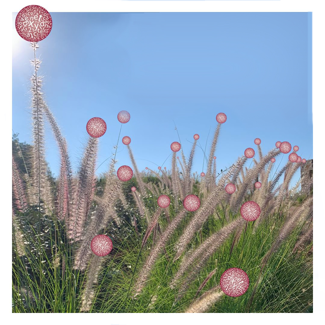 Η προστιθέμενη ανίχνευση γενετικών παραλλαγών κατά τον προγεννητικό έλεγχο με μοριακό καρυότυπο δημιουργεί και ειδικές δυσκολίες στην εφαρμογή/ερμηνεία των αποτελεσμάτων όπω