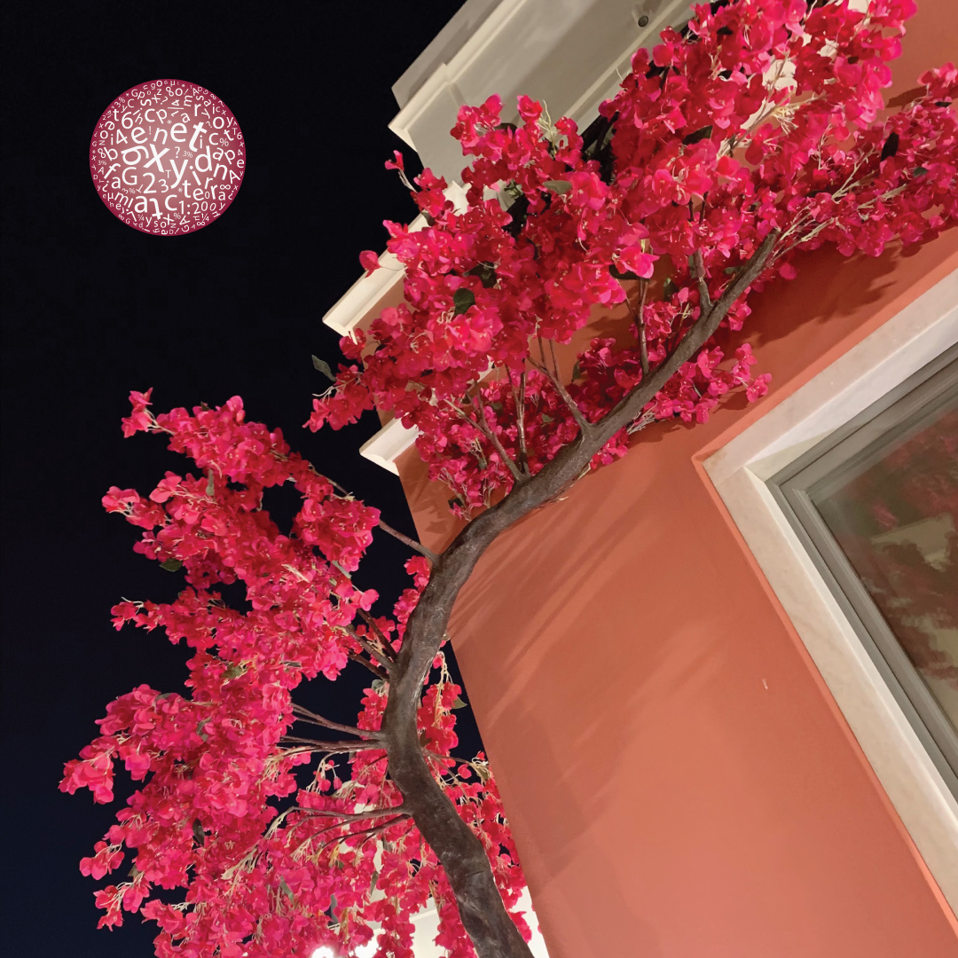 Το γονίδιο CHD8 και η προσέγγιση "πρώτα ο γονότυπος"