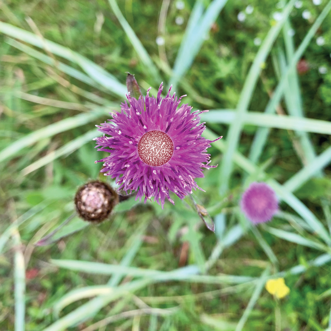 Πότε χρειάζεται να απευθυνθώ σε ειδικό κλινικό γενετιστή κατά τη διάρκεια μιας εγκυμοσύνης