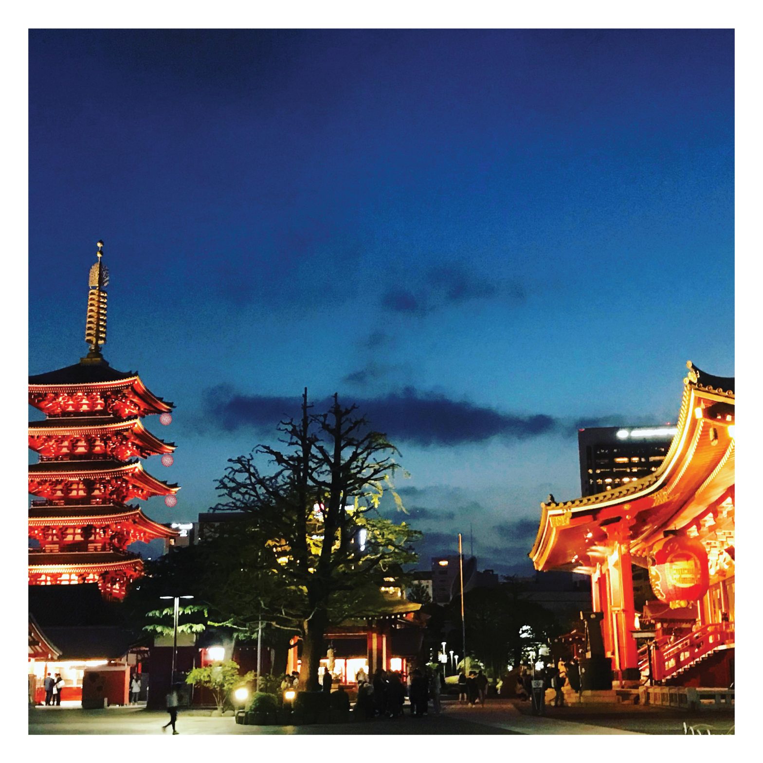 Διεθνείς κοινές συστάσεις για την αντιμετώπιση των ειδικών αναγκών ασθενών με σπάνιες ασθένειες που δεν έχουν διαγνωστεί