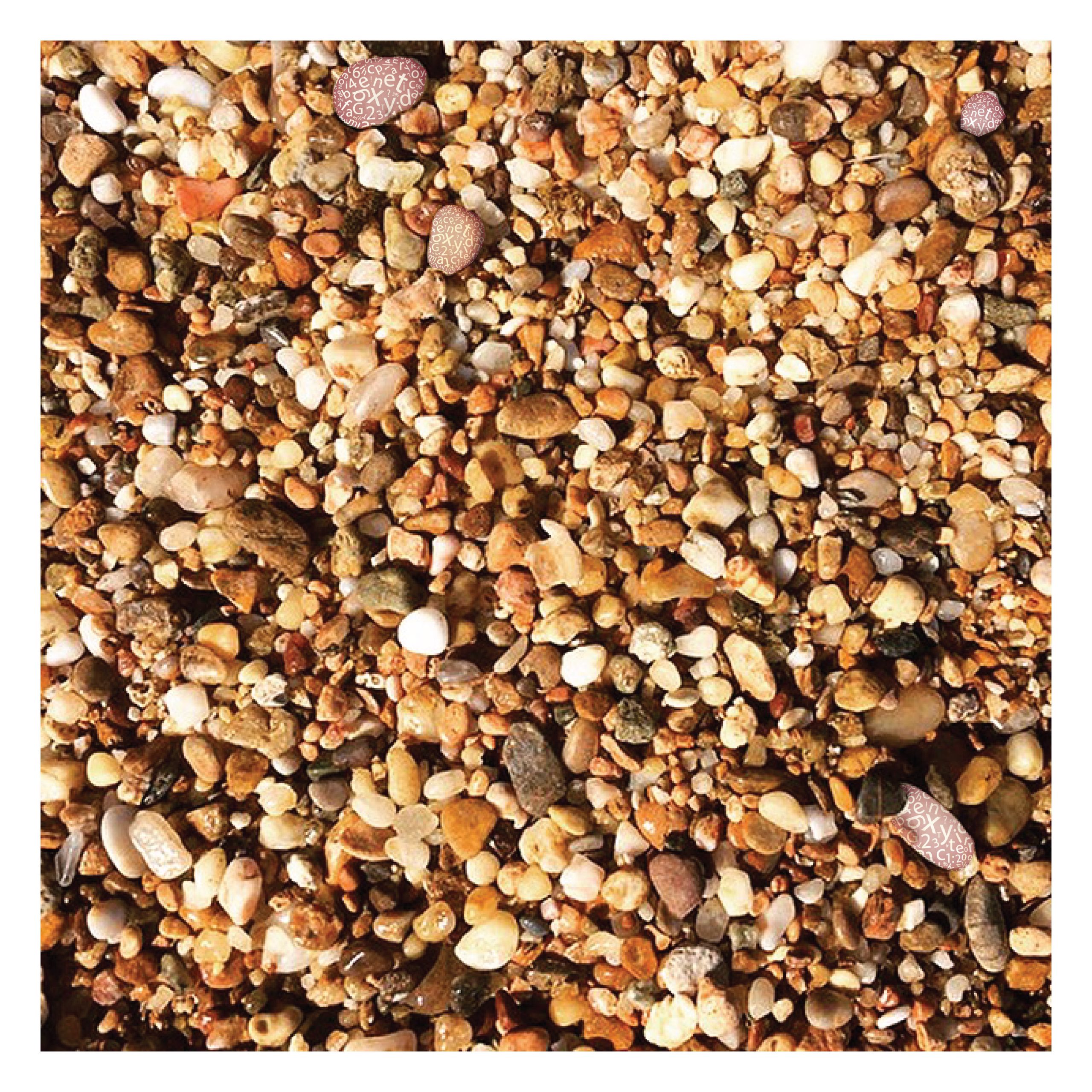 Εντατικό Σεμινάριο Υπερηχογραφίας και Εμβρυικής Ιατρικής